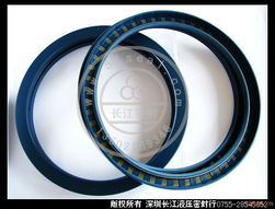 迈克BABSL型油封 进口油封的性能优势与应用领域